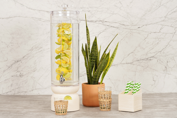 شافير حثي سيدني